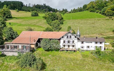 /international/fr/saint-die-des-vosges-lorraine-310107062703/