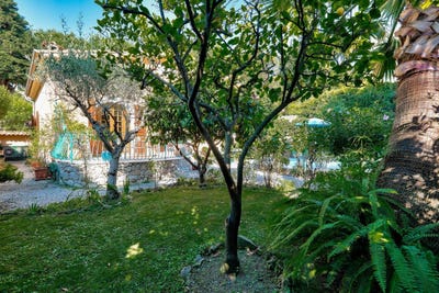 /international/fr/nice-provence-alpes-cote-d-azur-310108865807/