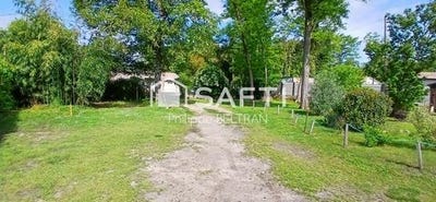 /international/fr/noaillan-aquitaine-310099431268/