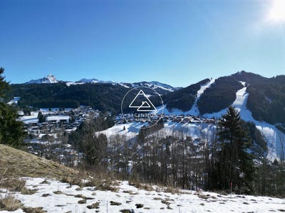 /international/fr/les-gets-rhone-310098639771/