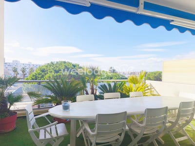/international/fr/mauguio-languedoc-roussillon-310108455087/