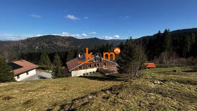 /international/fr/gerardmer-lorraine-310107256981/