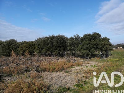 /international/fr/sainte-cecile-les-vignes-provence-alpes-cote-d-azur-310104861275/