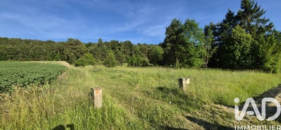 /international/fr/villedieu-centre-val-de-loire-310108784723/