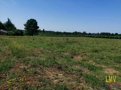 /international/fr/doulezon-aquitaine-310104897799/