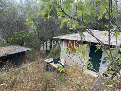 /international/fr/peille-provence-alpes-cote-d-azur-310107293562/