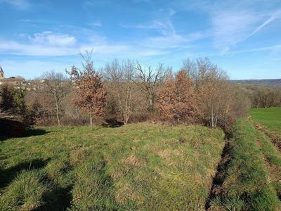 /international/fr/mirandol-bourgnounac-midi-pyrenees-310107011674/