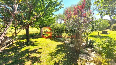 /international/fr/trebes-languedoc-roussillon-120096140782/