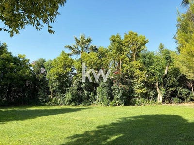 /international/fr/lattes-languedoc-roussillon-310103517365/