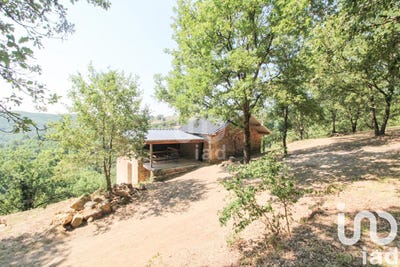 /international/fr/broquies-midi-pyrenees-310101511839/