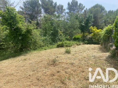 /international/fr/la-colle-sur-loup-provence-alpes-cote-d-azur-310108481564/