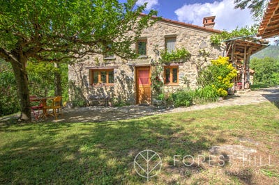 /international/fr/saint-laurent-de-cerdans-languedoc-roussillon-310108317473/