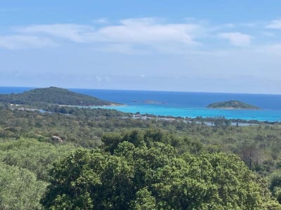 /international/fr/lecci-corsica-310098731273/