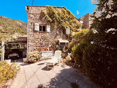 /international/fr/rosazia-corsica-310101280326/