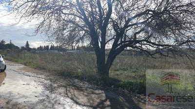 /international/fr/manduel-languedoc-roussillon-310104800117/