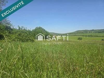 /international/fr/mirepoix-midi-pyrenees-310107621354/
