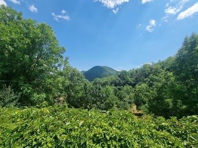 /international/fr/seix-midi-pyrenees-310109204502/