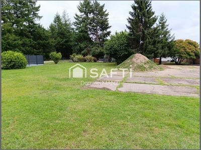 /international/fr/belin-beliet-aquitaine-310102345174/