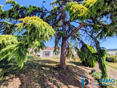 /international/fr/albi-midi-pyrenees-310108674393/