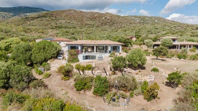 /international/fr/figari-corsica-310107838911/