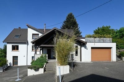 /international/fr/rue-de-haslach-cosswiller-alsace-310099784977/