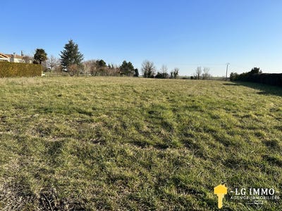 /international/fr/mortagne-sur-gironde-charente-310106447889/