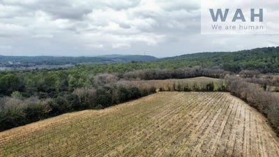 /international/fr/fontanes-languedoc-roussillon-310105912114/