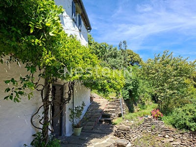 /international/fr/saint-frezal-de-ventalon-languedoc-roussillon-310108466354/