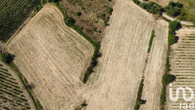 /international/fr/murviel-les-beziers-languedoc-roussillon-310101471030/