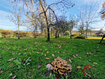 /international/fr/varennes-sur-amance-ardennes-310103444696/
