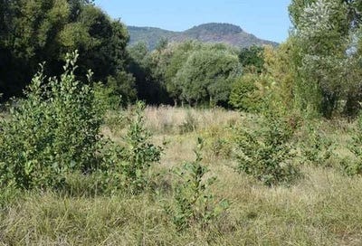 /international/fr/saint-maximin-la-sainte-baume-provence-alpes-cote-d-azur-310119935533/