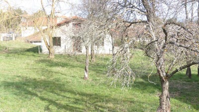 /international/fr/cussac-sur-loire-auvergne-310107566283/