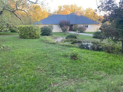 /international/fr/noailles-limousin-310105832188/