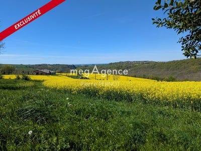 /international/fr/paulinet-midi-pyrenees-310102967885/