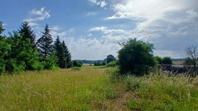 /international/fr/camelin-picardie-310109225589/