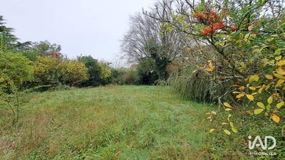 /international/fr/breuillet-ile-de-france-310105895865/