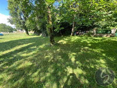 /international/fr/saivres-charente-310108862232/