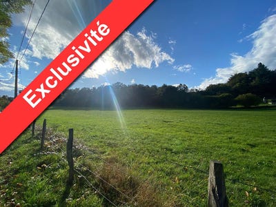 /international/fr/champs-sur-tarentaine-marchal-auvergne-310108602022/
