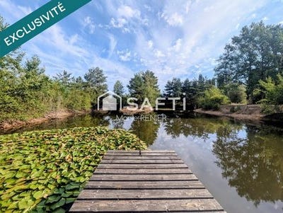 /international/fr/aubigne-racan-pays-de-la-loire-310109106911/