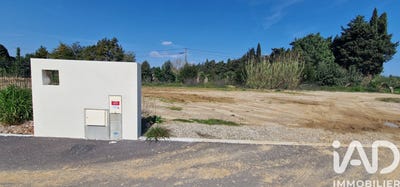 /international/fr/elne-calais-310105536853/