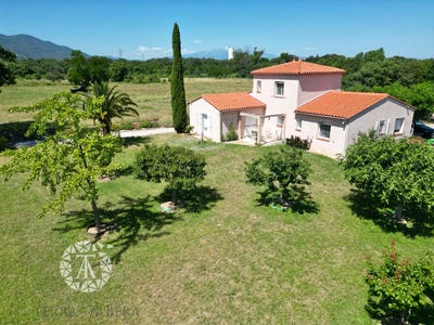 /international/fr/saint-andre-languedoc-roussillon-310108943806/