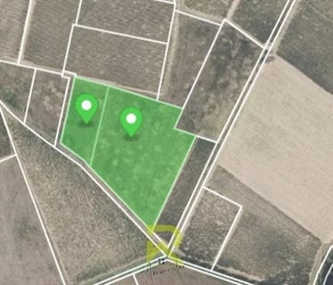 /international/fr/raissac-d-aude-languedoc-roussillon-310106715753/