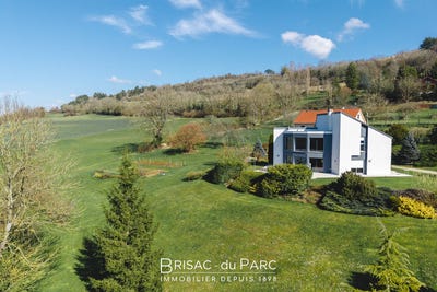 /international/fr/vaux-saules-burgundy-310106381672/