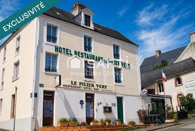 /international/fr/sille-le-guillaume-pays-de-la-loire-310107621574/