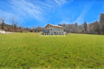 /international/fr/saint-jean-de-tholome-rhone-310107581175/