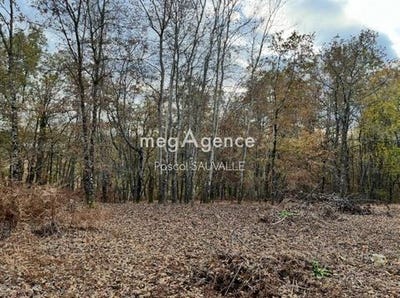 /international/fr/saint-michel-de-villadeix-aquitaine-310103730441/