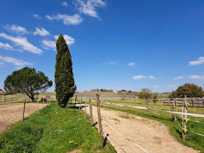 /international/fr/saint-macaire-aquitaine-310106716062/
