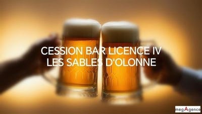 /international/fr/les-sables-d-olonne-pays-de-la-loire-310101385058/