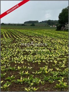 /international/fr/montrecourt-calais-310108216075/