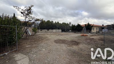 /international/fr/ribaute-languedoc-roussillon-310104277030/